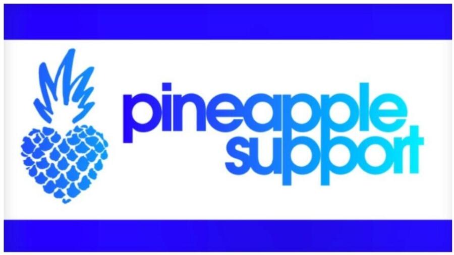 Pineapple Support, Chaturbate to Host ‘Beyond Abuse’ Industry Support Group