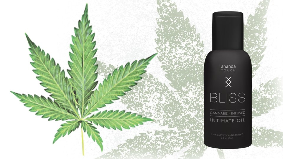 Q&A: CarraShield Teams With Ananda Help for Cannabis-Infused Bliss Intimate Oil