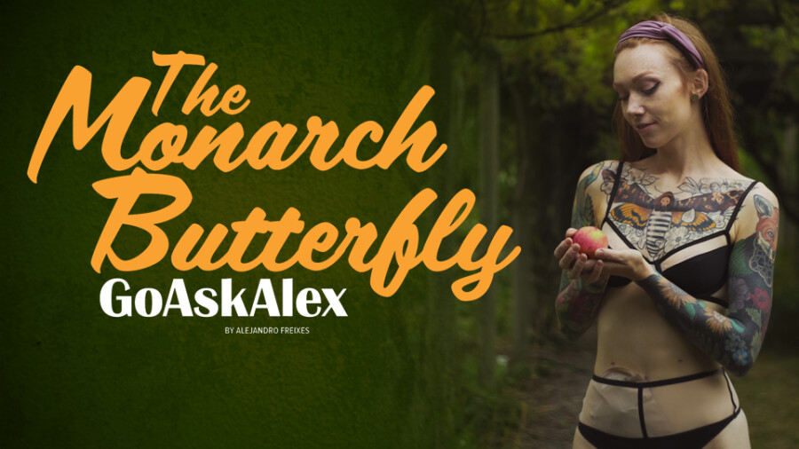 Q&A: GoAskAlex Becomes a Glorious Monarch Butterfly