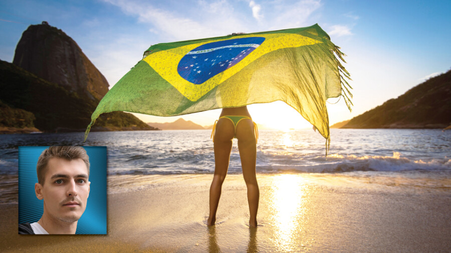 Analyzing the Brazilian Market for Adult