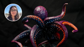 Turning Fantasy Fans Into New Creature Play Shoppers