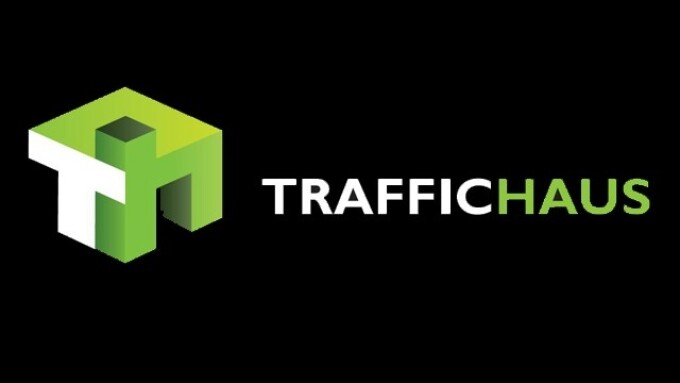 TrafficHaus Reports Traffic Surge Following Google’s Panda 4.2 Update 