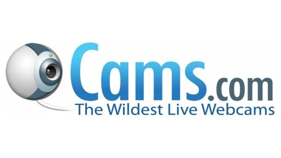 Webcam Modeling Companies