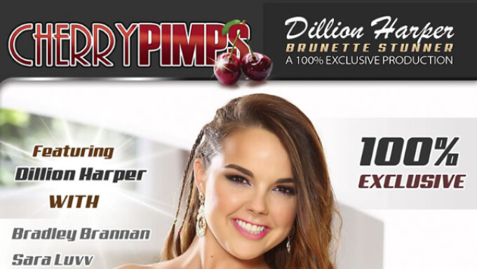 Pure Play Media Cherry Pimps Debut Dillion Harper Showcase