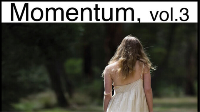 Pure Play, Lightsouthern Offer 'Momentum Vol. 3'