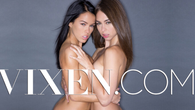 Blacked, Tushy Creators Launch Vixen.com