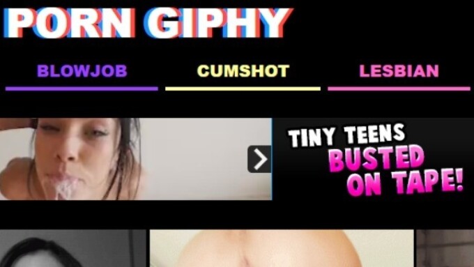 PornGiphy.com Ordered Transferred to Animated GIF Site Operator