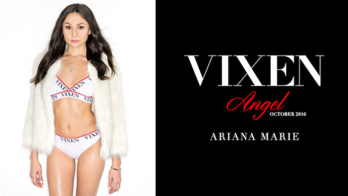 Ariana Marie Named October Vixen Angel Xbiz Com