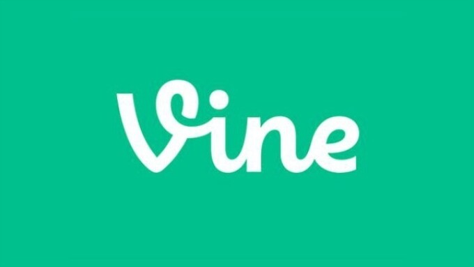 Twitter Plans to Pull Plug on Video-Sharing App Vine