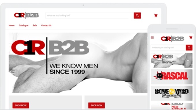 Channel 1 Releasing Debuts New B2B Website