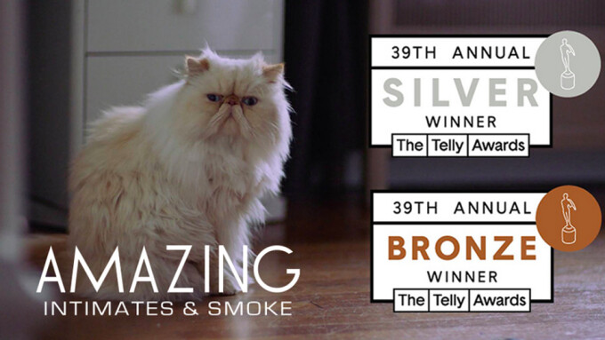Amazing Stores Wins 2 Telly Awards for TV Commercial