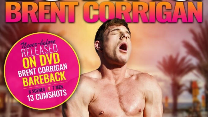 Falcon, NakedSword Are 'Loving Brent Corrigan'