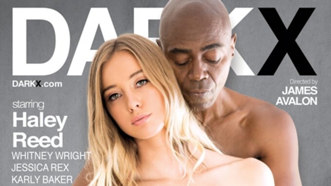 Haley Reed Toplines 'Interracial Teens 5' for Dark X