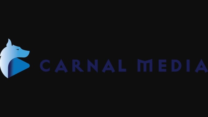 Carnal Media Taps Danny Go as New Affiliates Manager