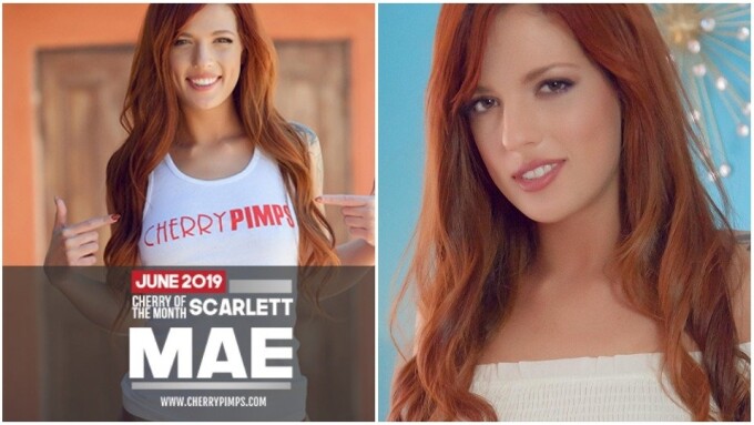 Scarlett Mae Is Cherry Pimps' June 'Cherry of the Month'