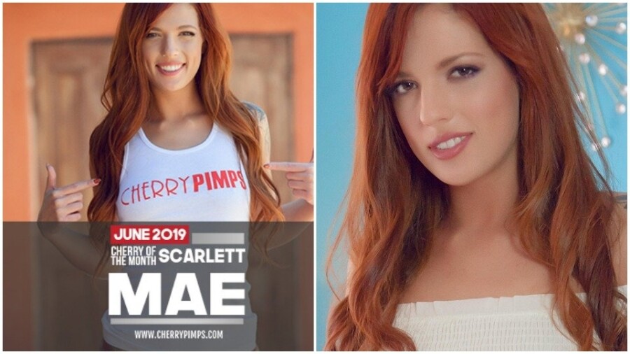 Scarlett Mae Is Cherry Pimps June Cherry Of The Month