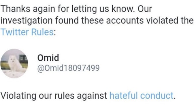 Twitter Finally Admits 'Omid' Campaign Against Porn Performers is 'Hateful'