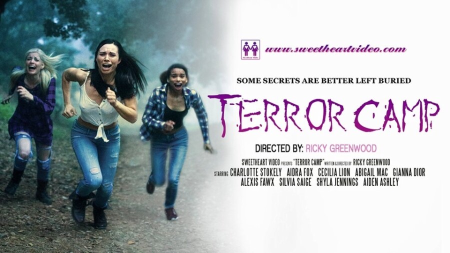 Sweetheart Video Presents Psychosexual Thriller Terror Camp