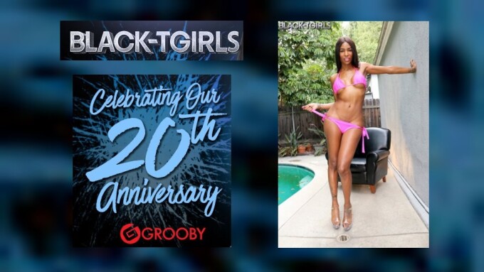 Grooby's Black-TGirls.com Marks 20th Anniversary