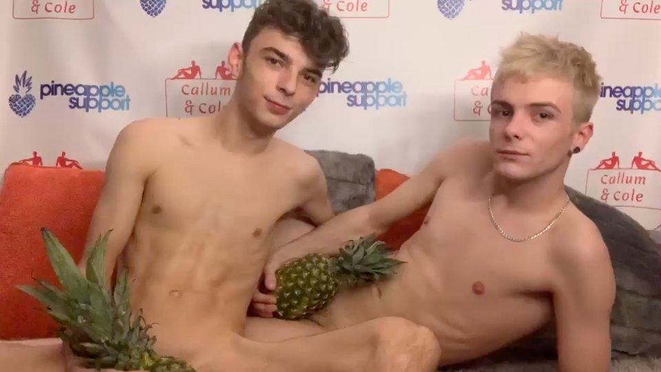 Callum & Cole Charity Stream to Benefit Pineapple Support