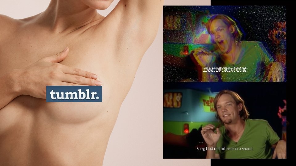Report: How Tumblr's Sex Ban Wrecked a Thriving, Diverse Culture Hub