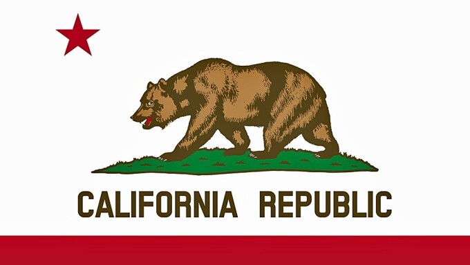California Consumer Privacy Act Now in Effect, Adult Businesses Seek to Comply