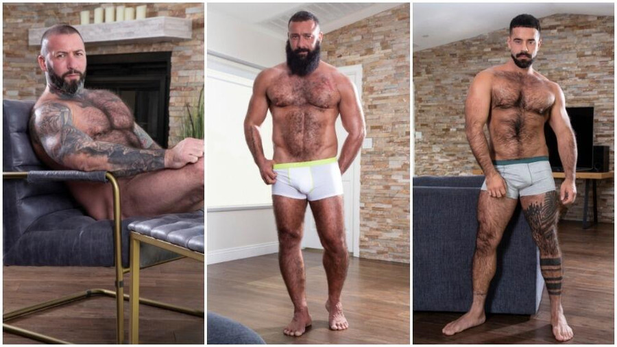 Teddy Torres