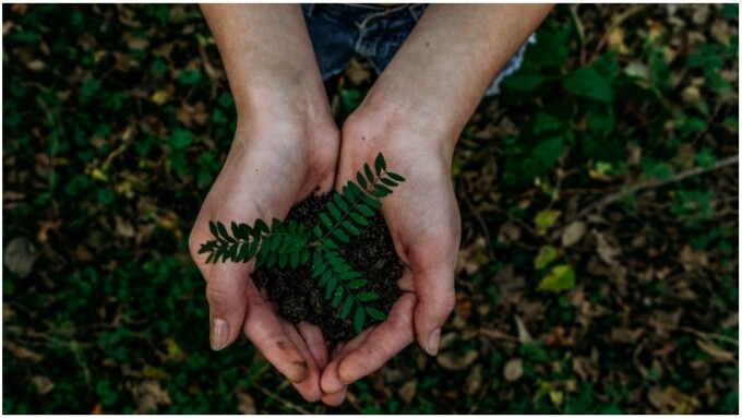 Svakom Marks Earth Day by Donating to 'Trees for the Future'