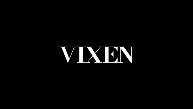 Vixen Media Group 'Reviewing Brand Guidelines,' Announces #BLM Donation
