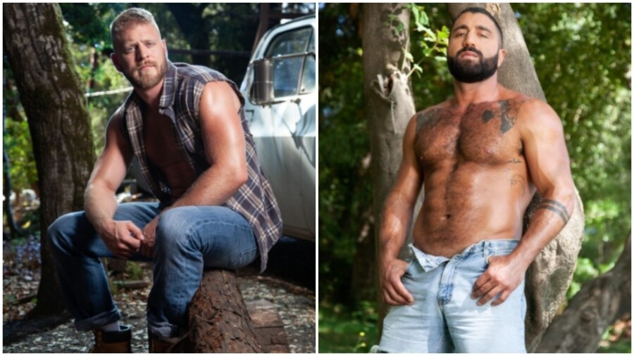 Raging Stallion Delivers 2 New Model Behavior Updates XBIZcom