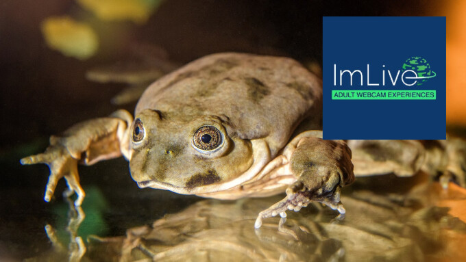 ImLive Launches 'Scrotal Recall' Campaign to Save Endangered Frog Species