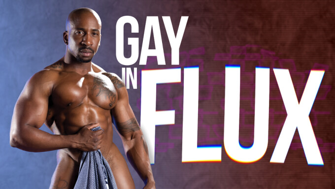 Gay in Flux: A Look at the Latest Trends in a Vibrant, Evolving Market -  XBIZ.com