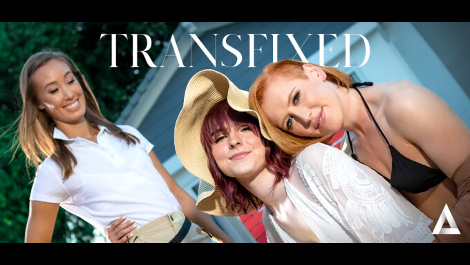 Transfixed Goes On an Erotic Vacation With 'Treating Ourselves'