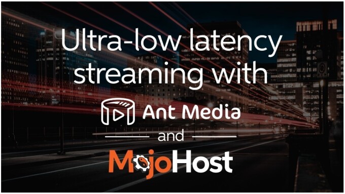 MojoHost, Ant Media Partner on Livestreaming Solution