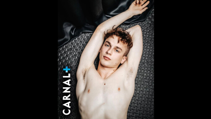Carnal Media Signs Tyler Tanner as Newest Exclusive