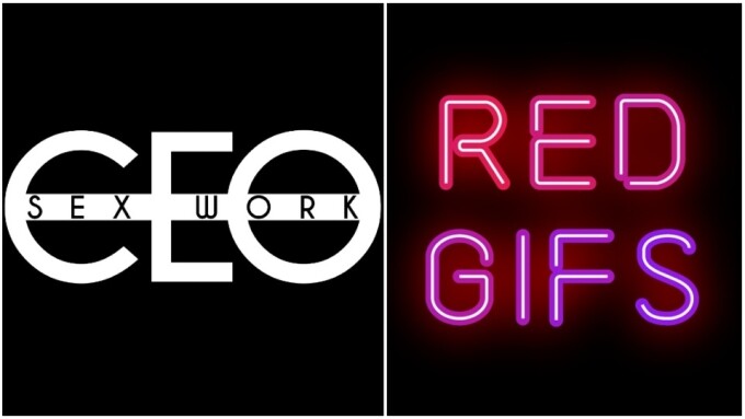 SexWorkCEO, RedGIFs Team Up for Training Course