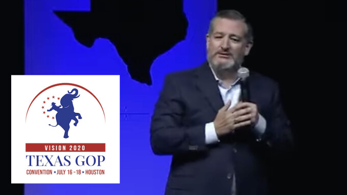 Texas GOP Platform Declares Pornography a 'Public Health Hazard'