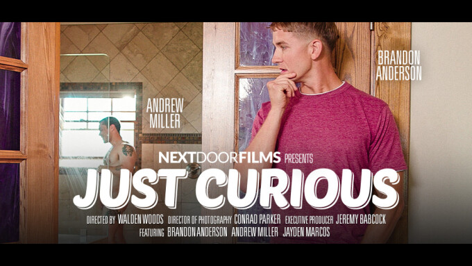 Brandon Anderson, Andrew Miller Star in 'Just Curious' From Next Door Films