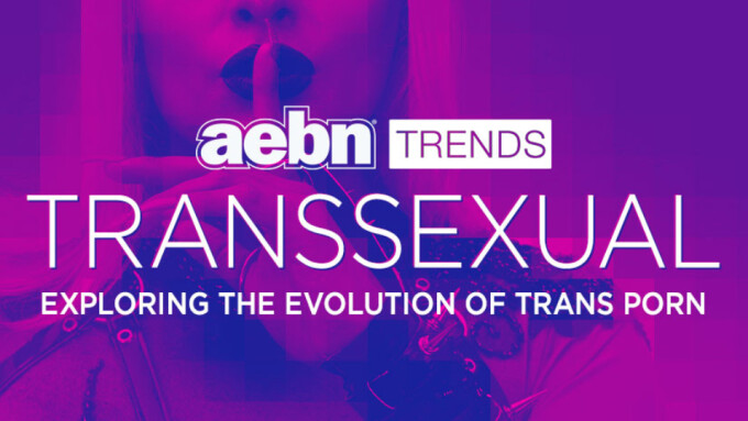 AEBN Releases Report on History, Future of Trans Content