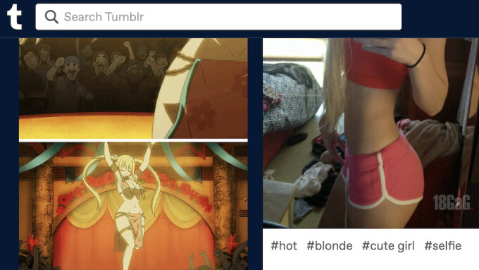 Tumblr's New 'Community Labels' to Allow for 'Sexual Themes'