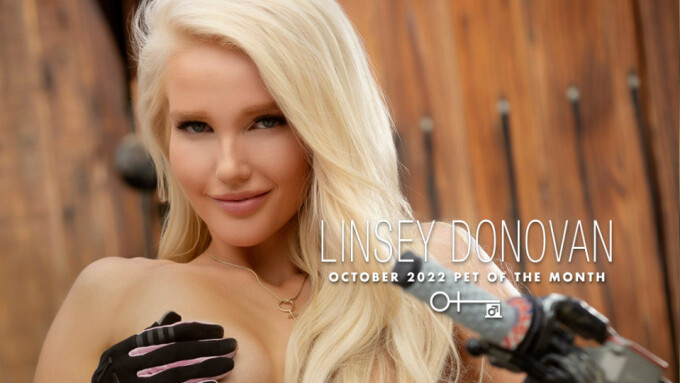 Penthouse Names Linsey Donovan October Pet of the Month