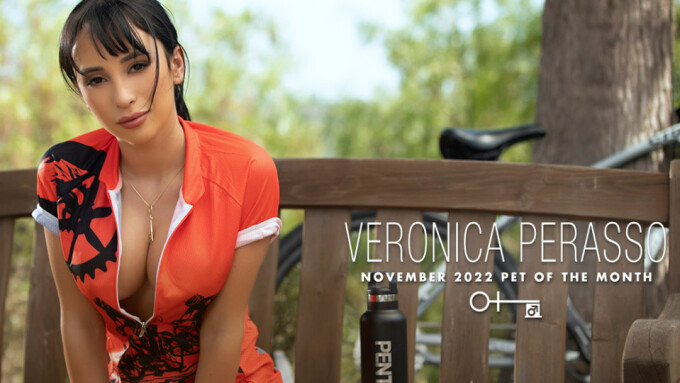 Penthouse Names Veronica Perasso November 'Pet of the Month'