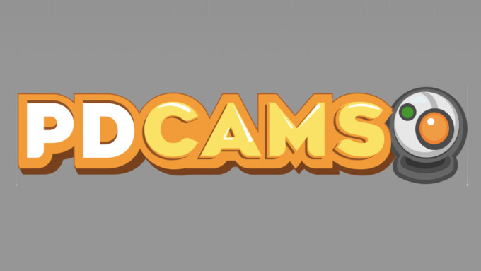 PornDude Launches Cam Aggregator PDCams