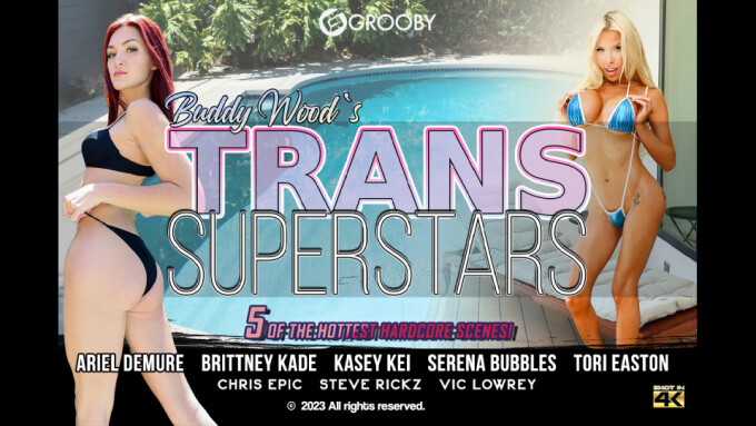 Grooby Drops Final Physical DVD Release, 'Buddy Wood's Trans Superstars'