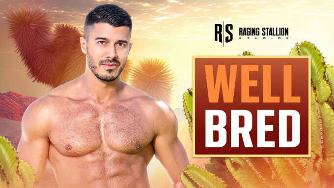 Bravo Star Lobo Carreira Toplines 'Well Bred' in Raging Stallion Debut