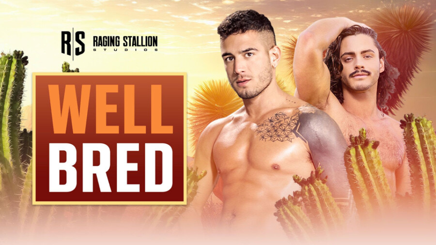 Falcon Nakedsword Debuts Full Version Of Well Bred Xbiz Com