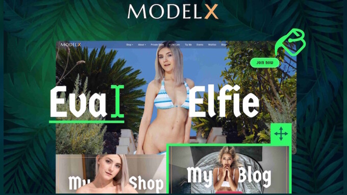 Vicetemple Unveils WordPress Theme 'ModelX'