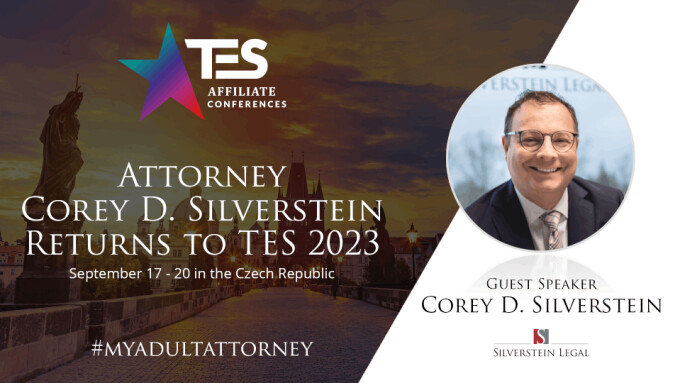 Corey Silverstein to Lead Panels on A.I., Age Verification at TES