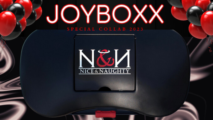 Passionate Playground, Nice & Naughty Partner for Custom 'Joyboxx'