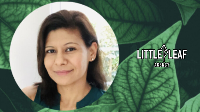 Little Leaf Agency Taps Nina Saini for Chief Operating Officer Role